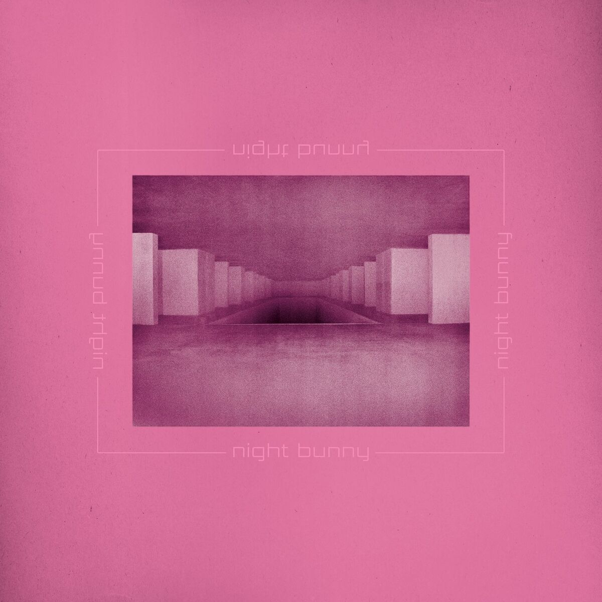Album cover of Night Bunny (feat. Suzanne Ciani)