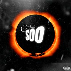 Cover of Soo