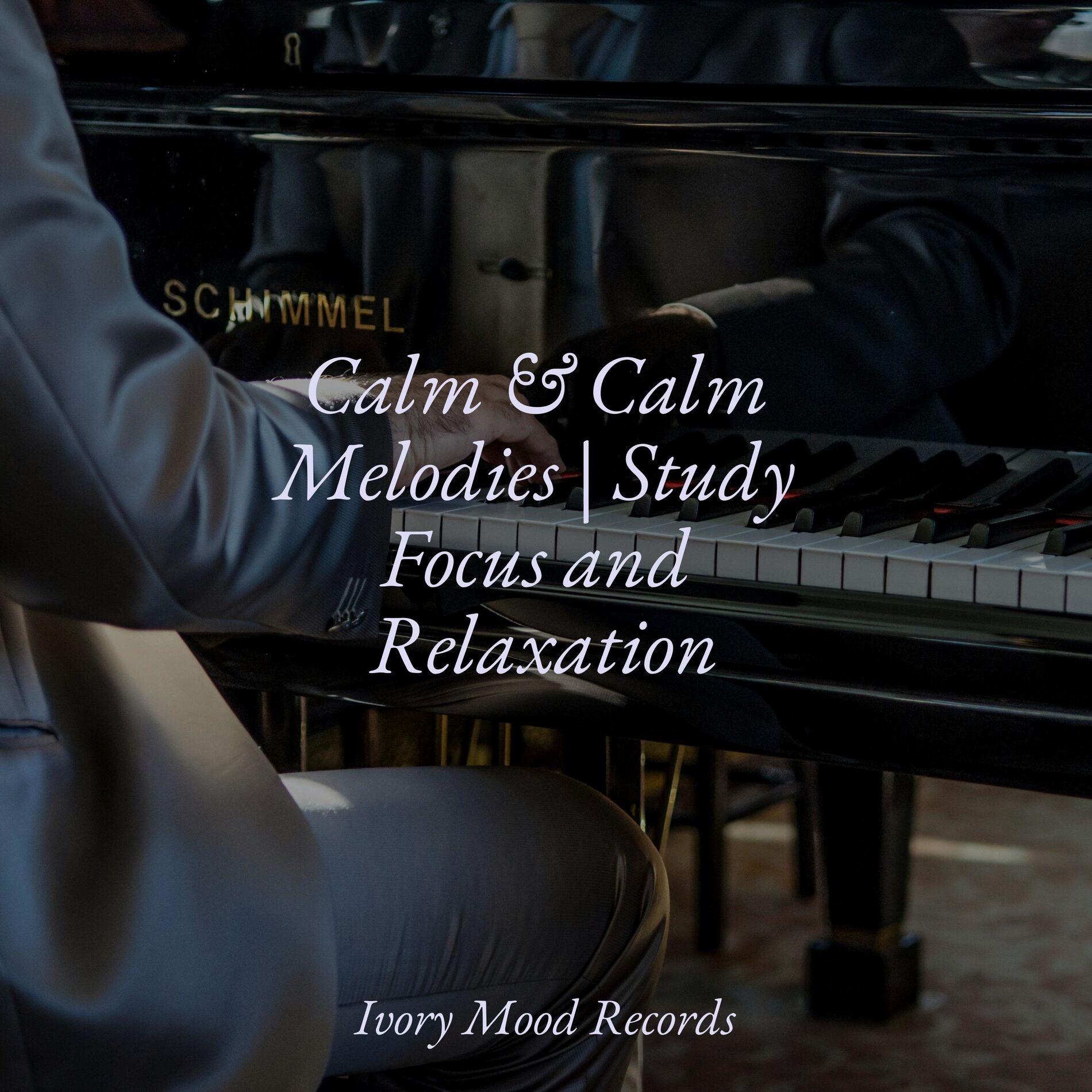 Album cover of Calm & Calm Melodies | Study Focus and Relaxation