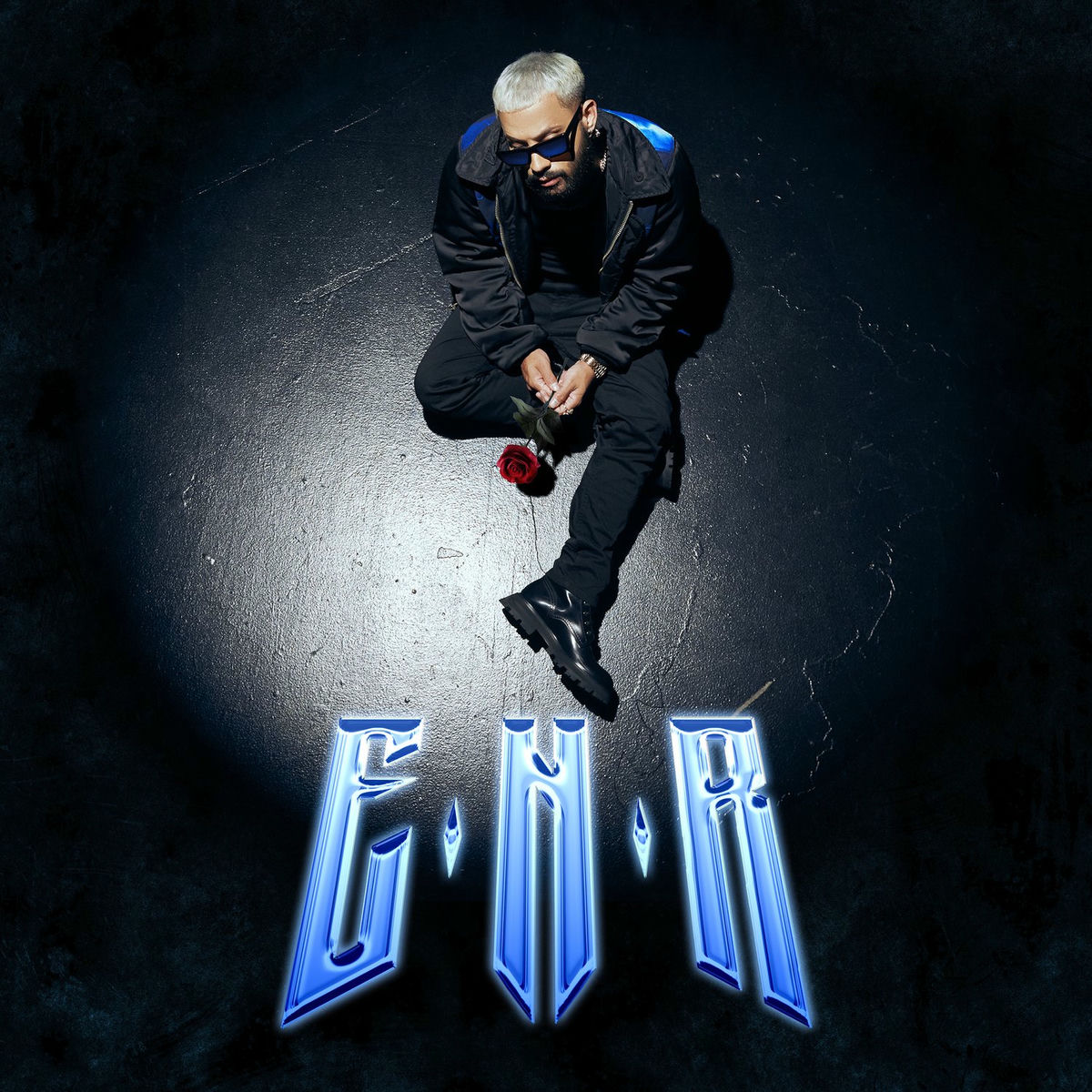 Album cover of ENR