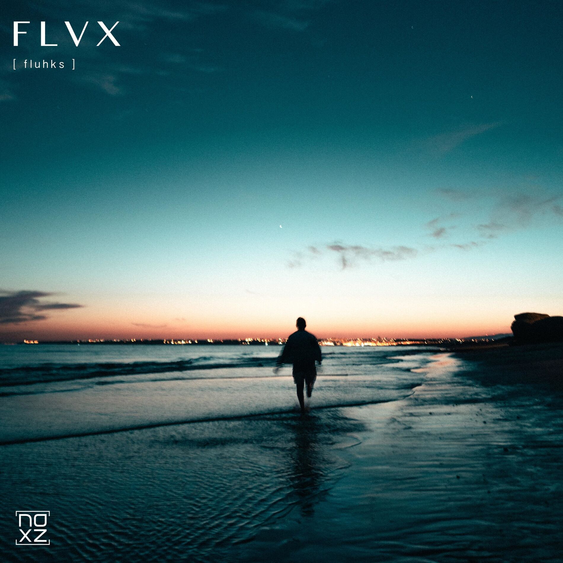 Album cover of Flvx