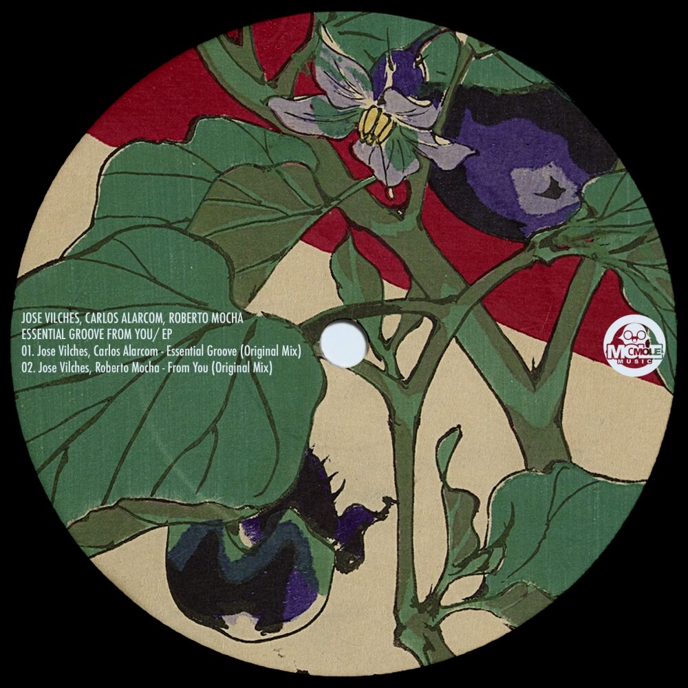 Picture of Essential Groove From You