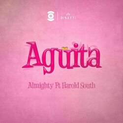 Cover of Aguita