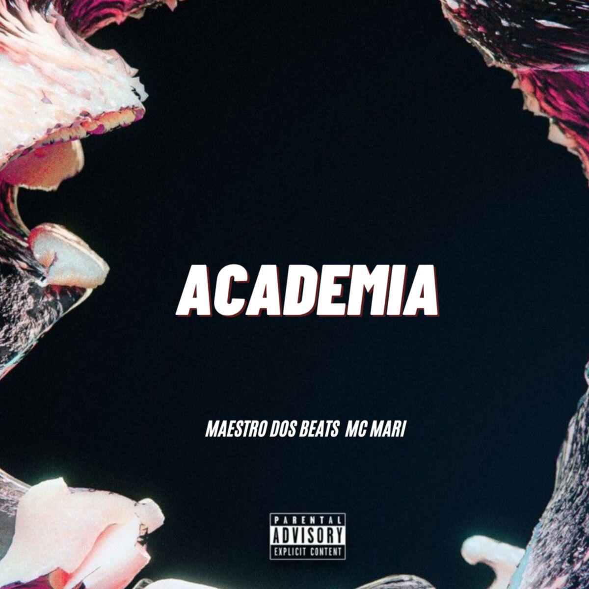 Album cover of Academia