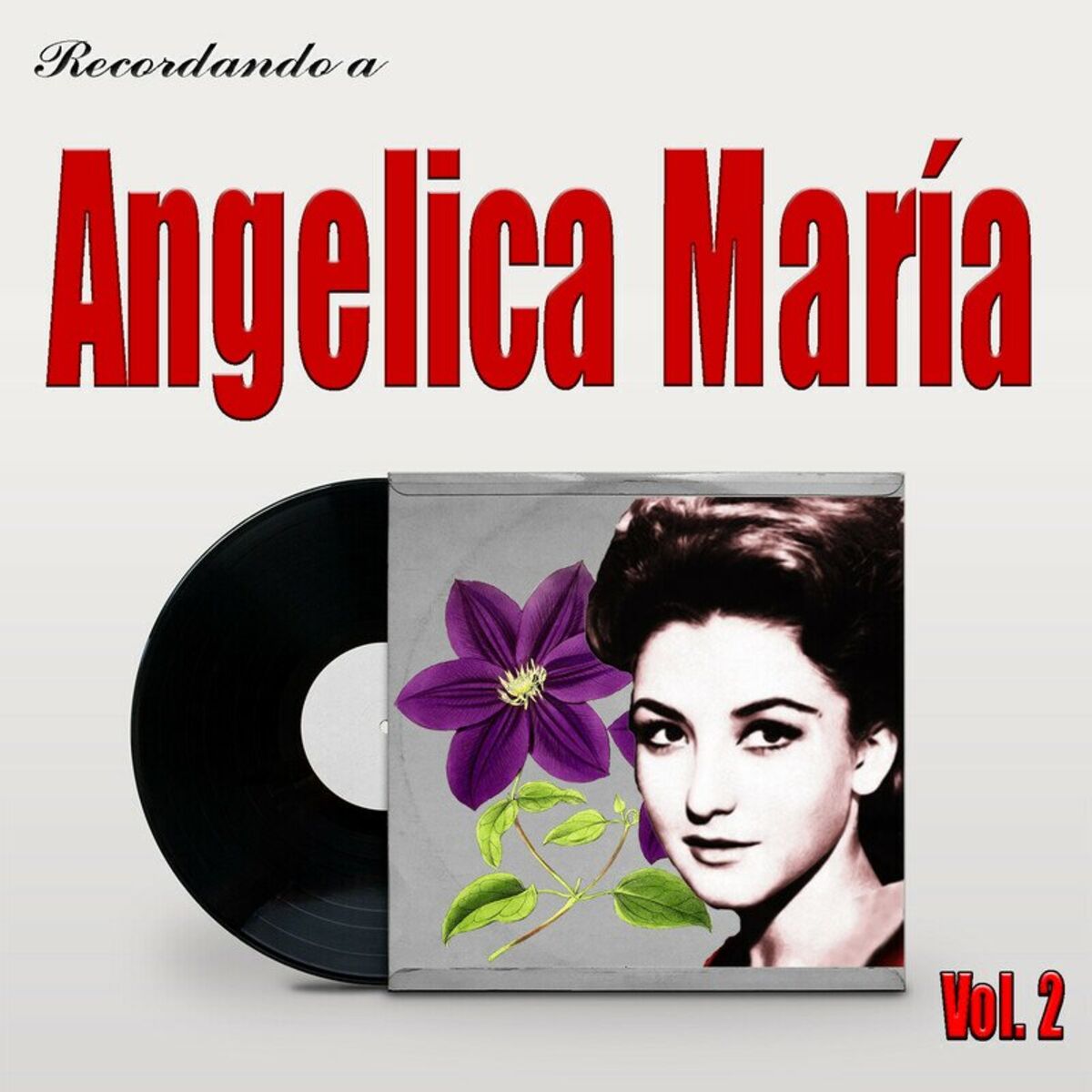 Album cover of Recordando a Angelica Maria Vol.2