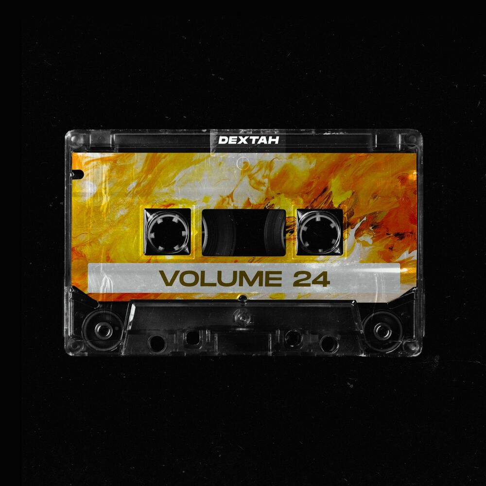 Picture of Volume 24