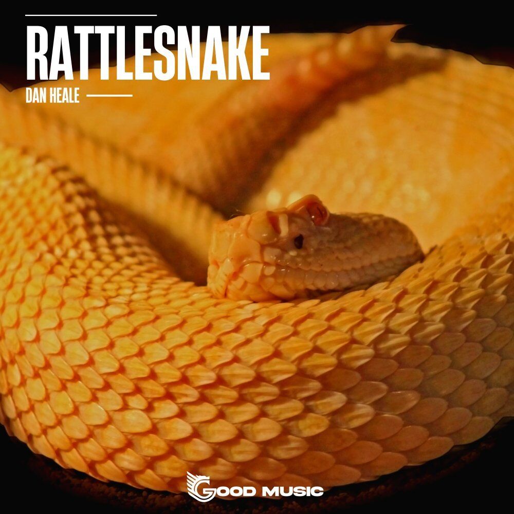 Picture of Rattlesnake