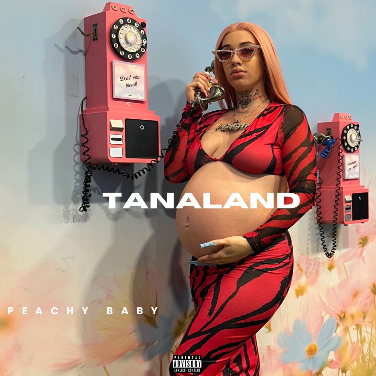 Album cover of Tanaland