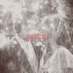 Cover of you have no idea