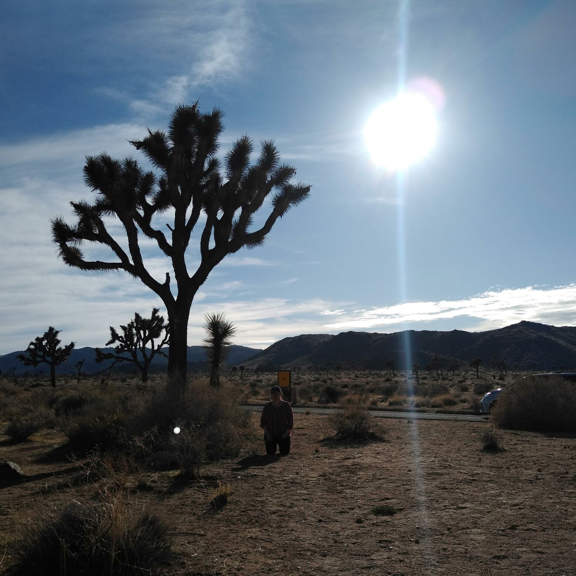 Album cover of Eres mi Sol