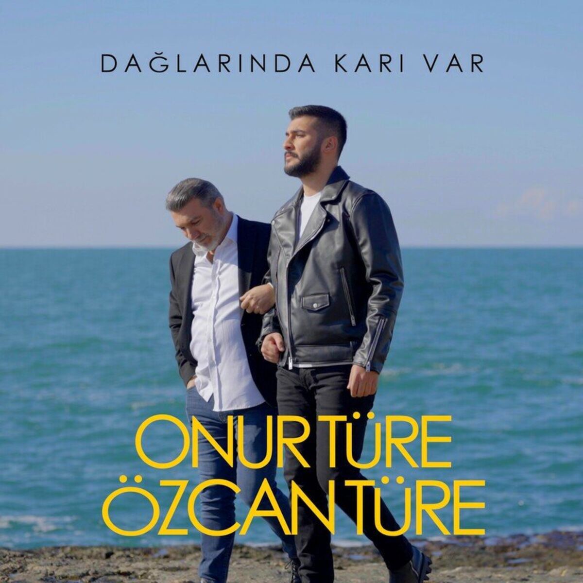 Album cover of Dağlarında Karı Var
