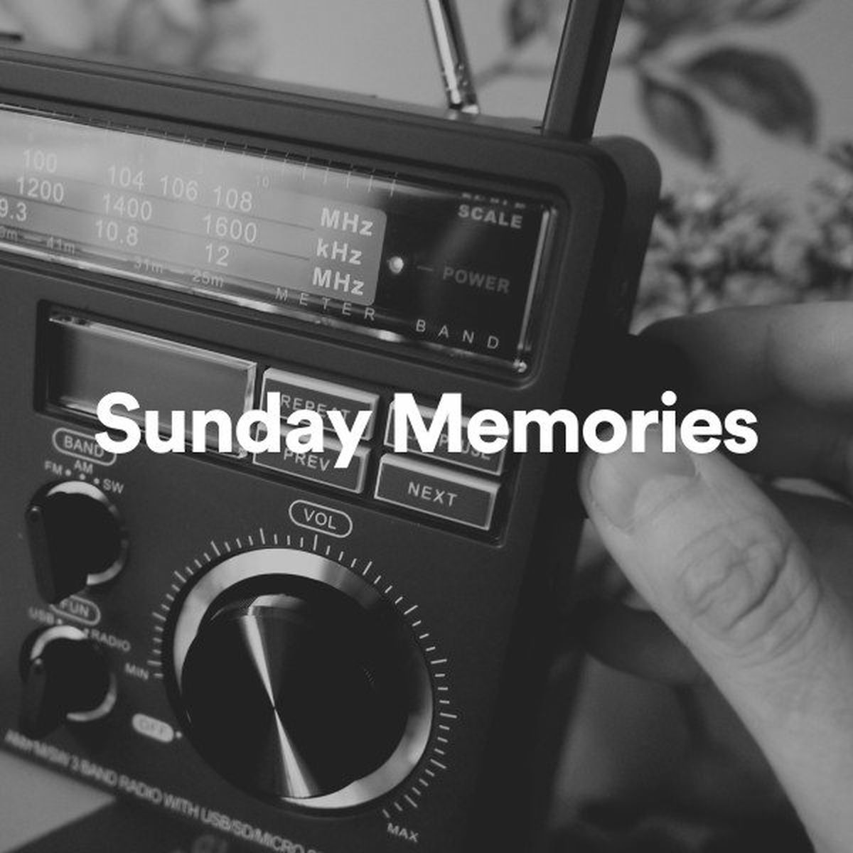 Album cover of Sunday Memories