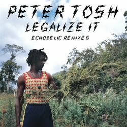 Cover of Legalize It: Echodelic Remixes