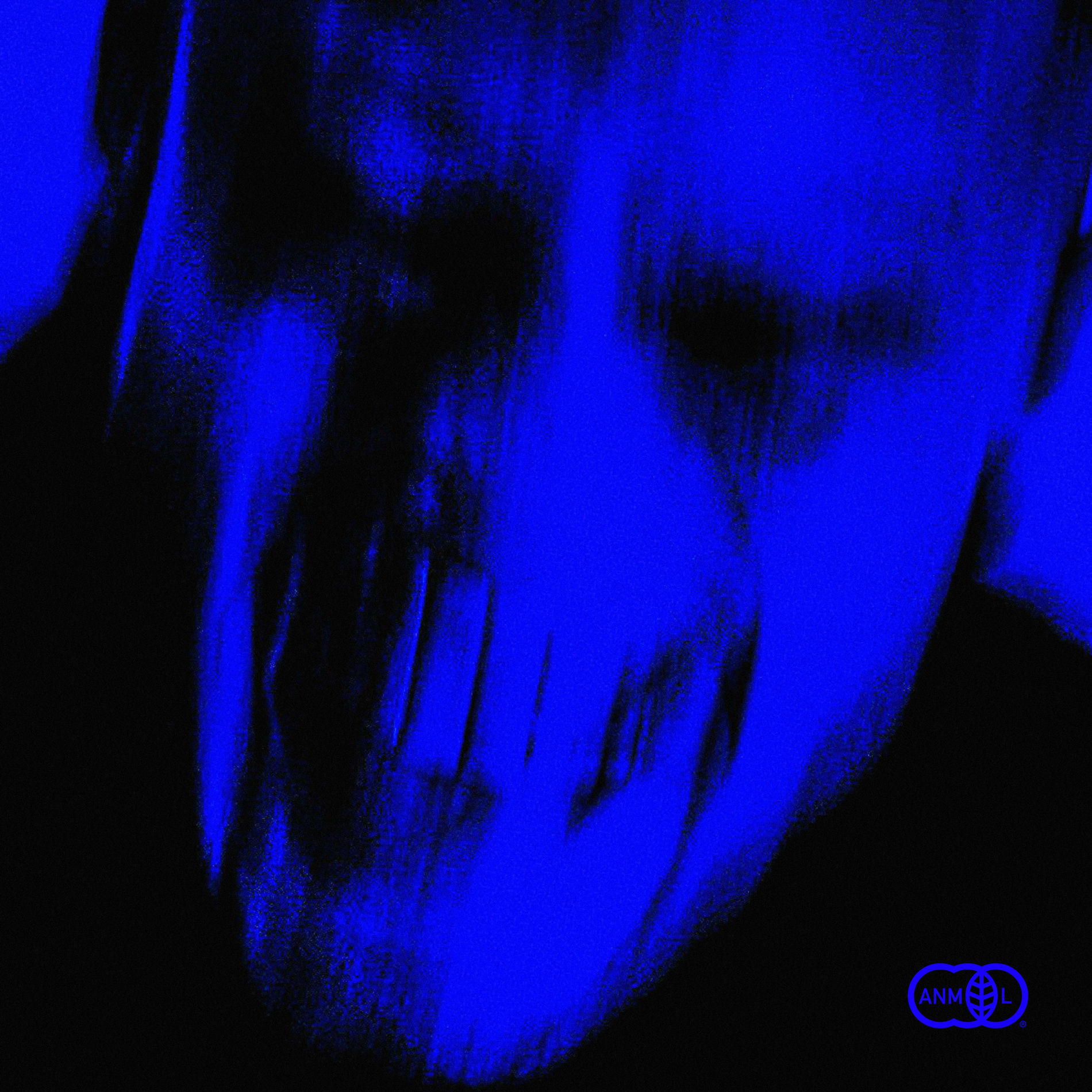 Album cover of ANIMAL