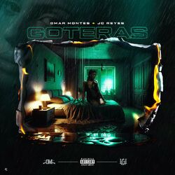 Cover of Goteras