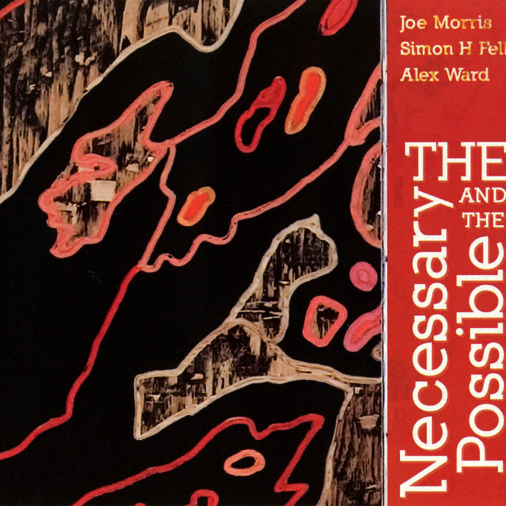 Picture of The Necessary and the Possible