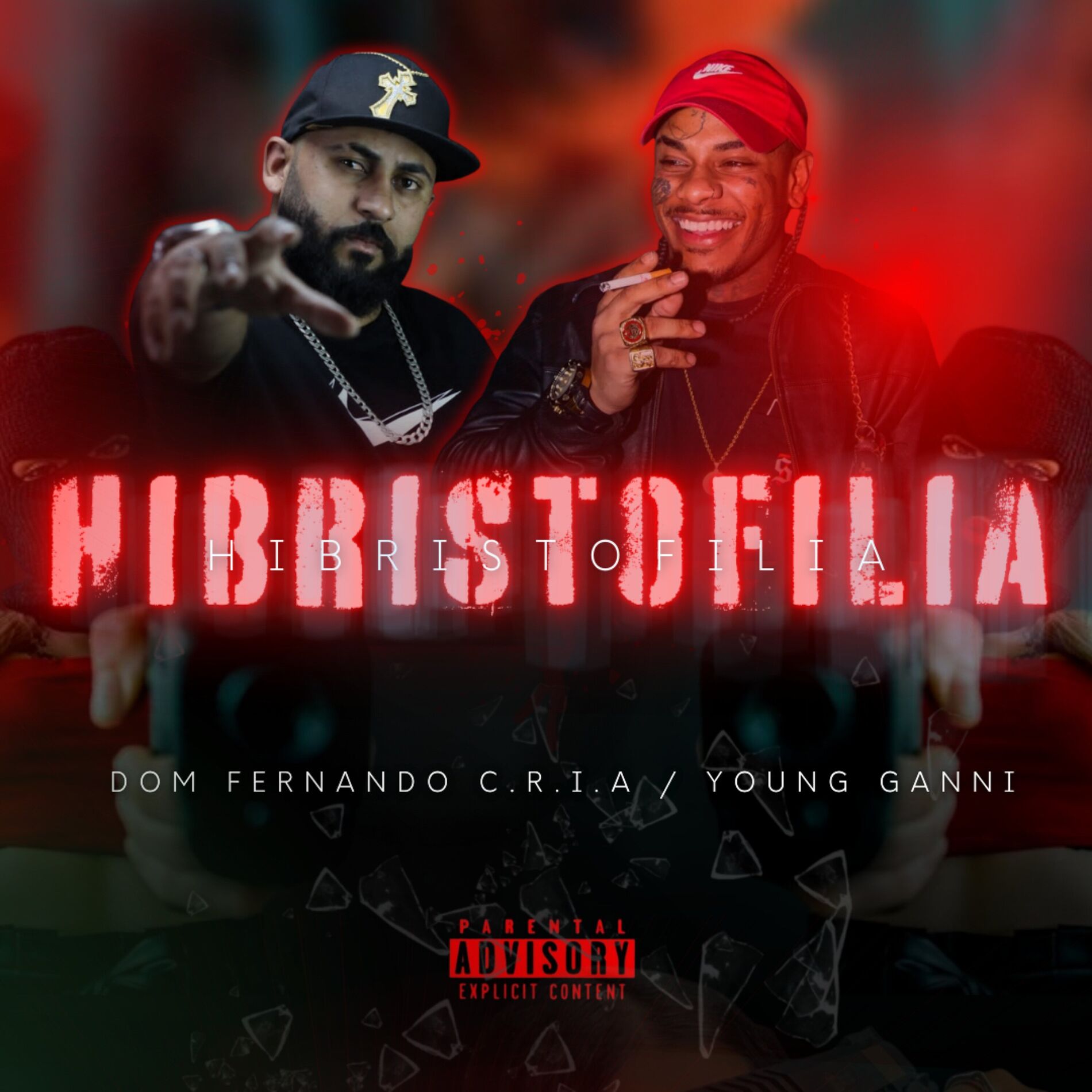Album cover of Hibristofilia