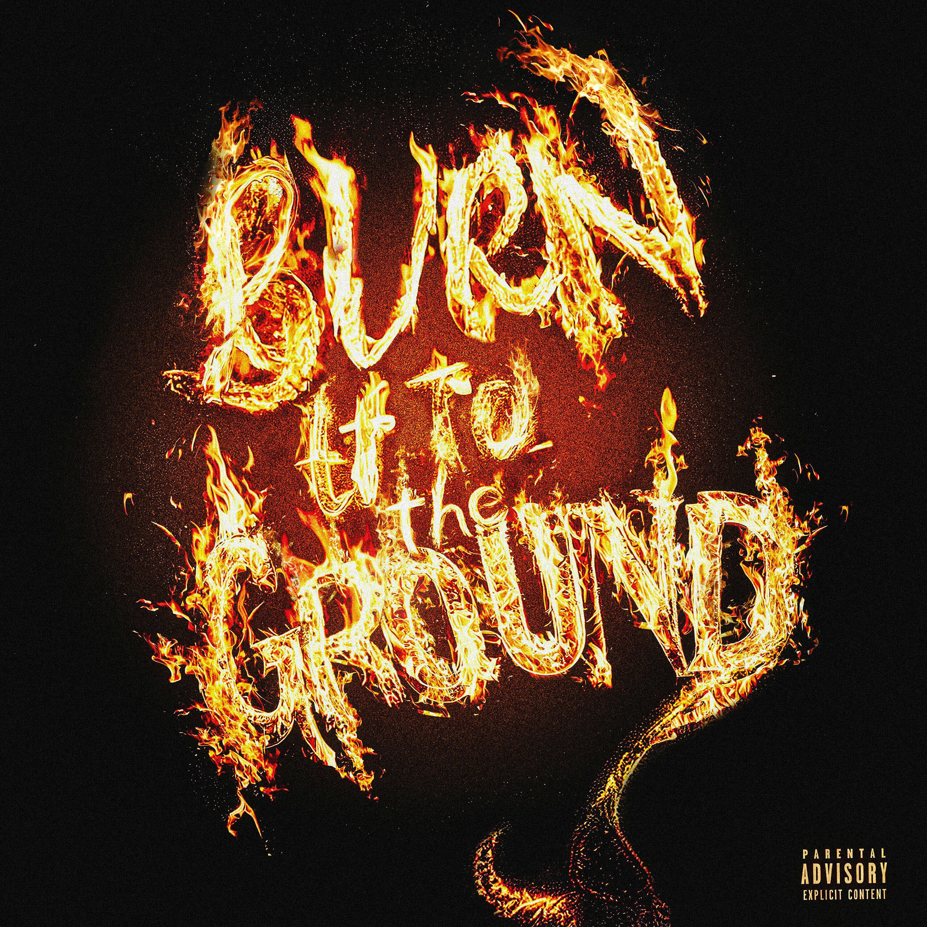 Album cover of Burn It To The Ground