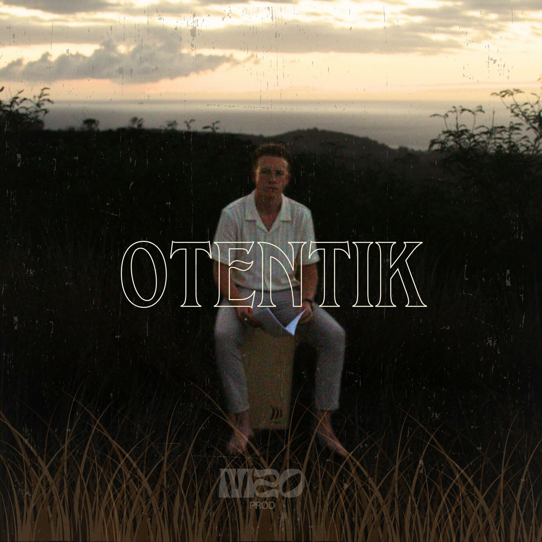 Album cover of Vi en roz'