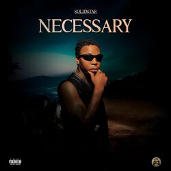Cover of Necessary