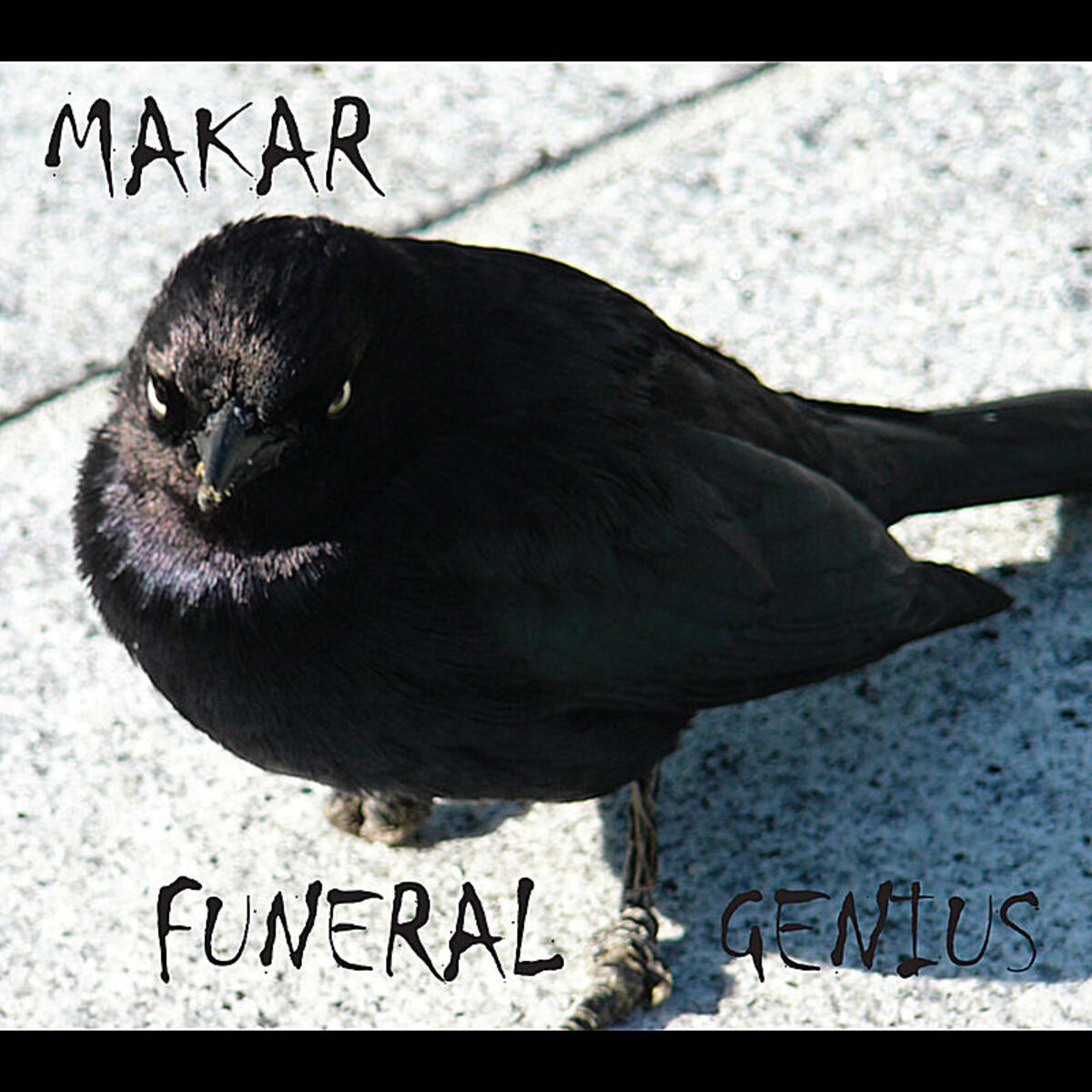 Album cover of Funeral Genius