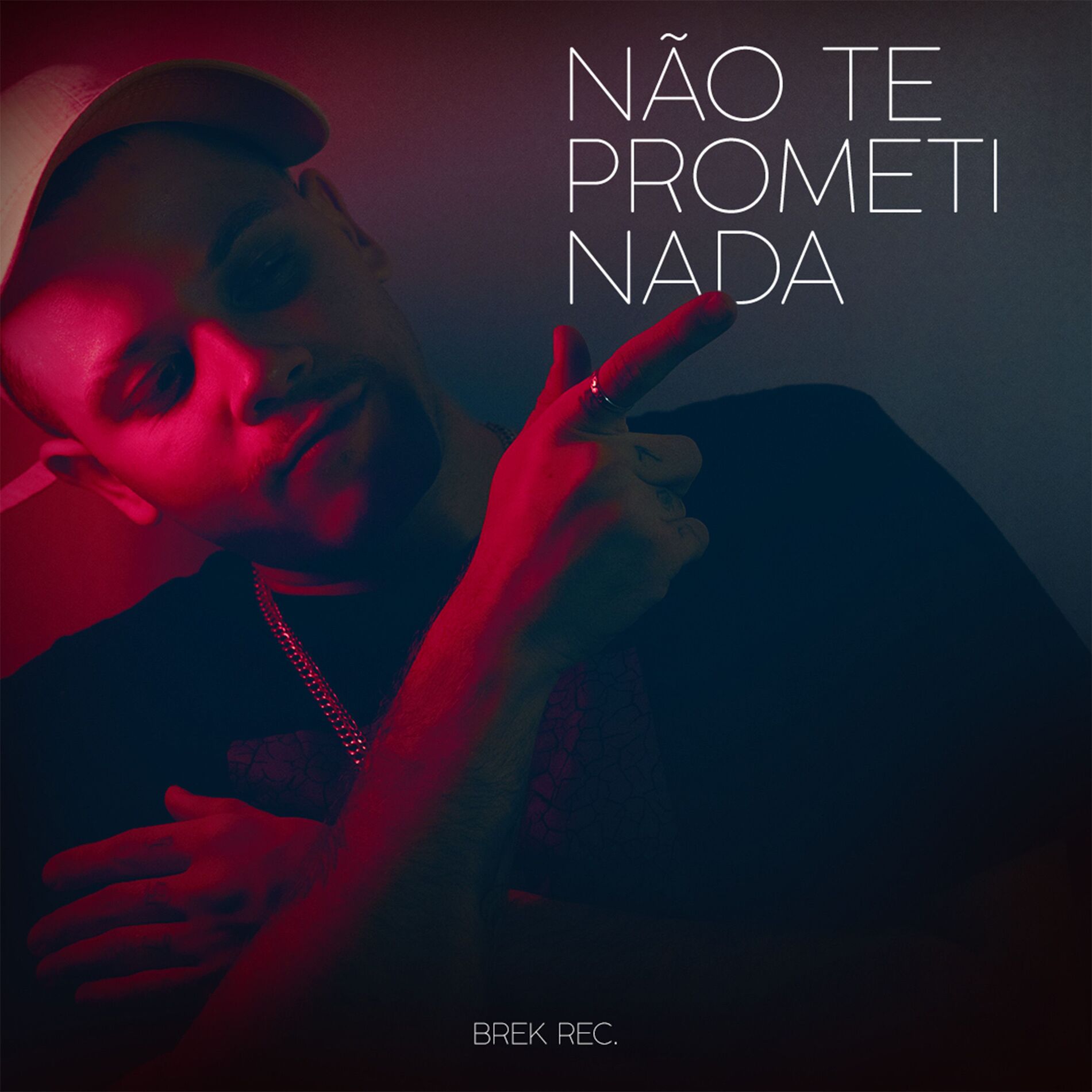 Album cover of Não Te Prometi Nada