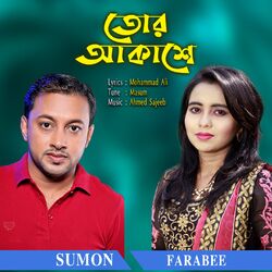 Cover of Tor Akashe