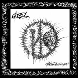 Cover of Only Constant