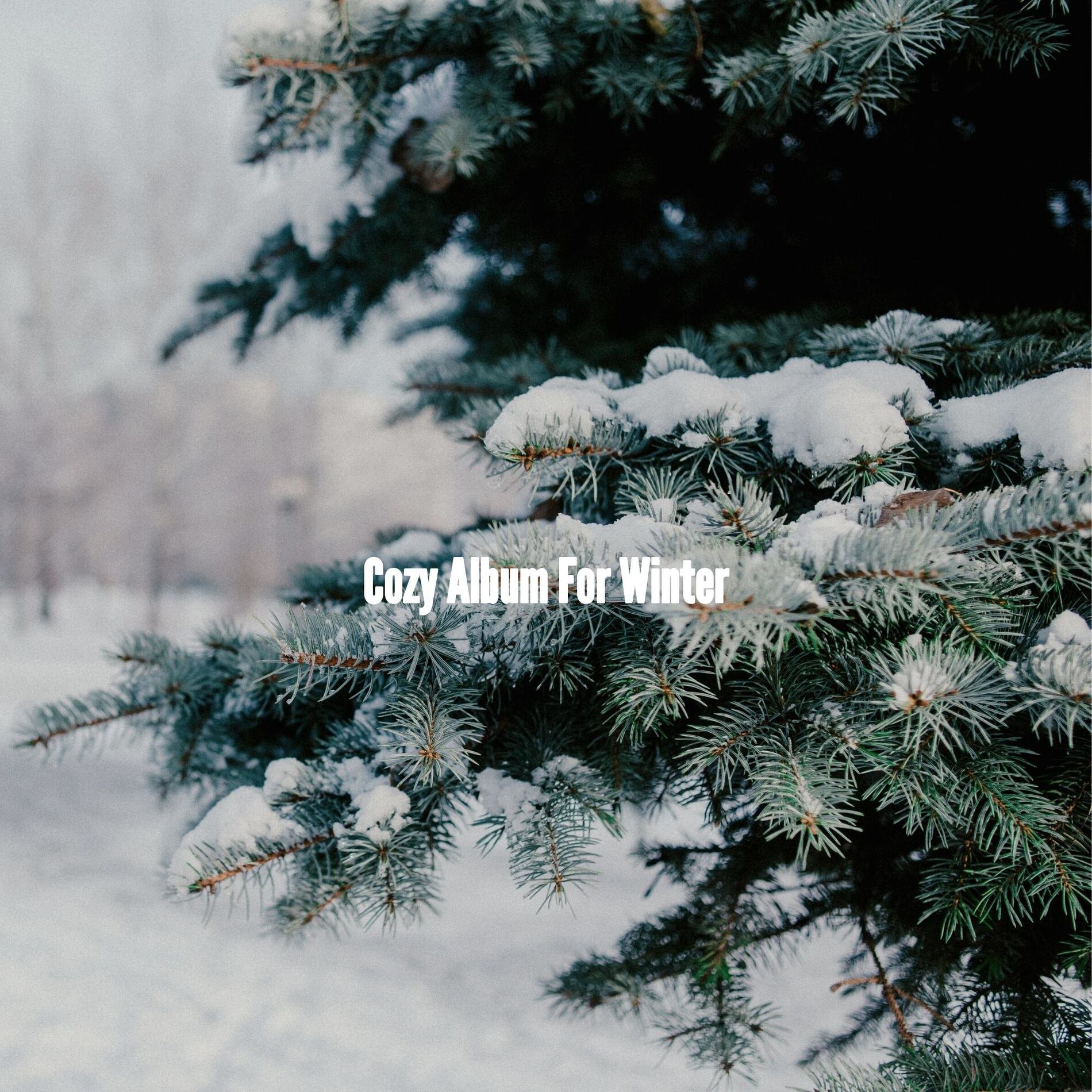 Album cover of Cozy Album For Winter