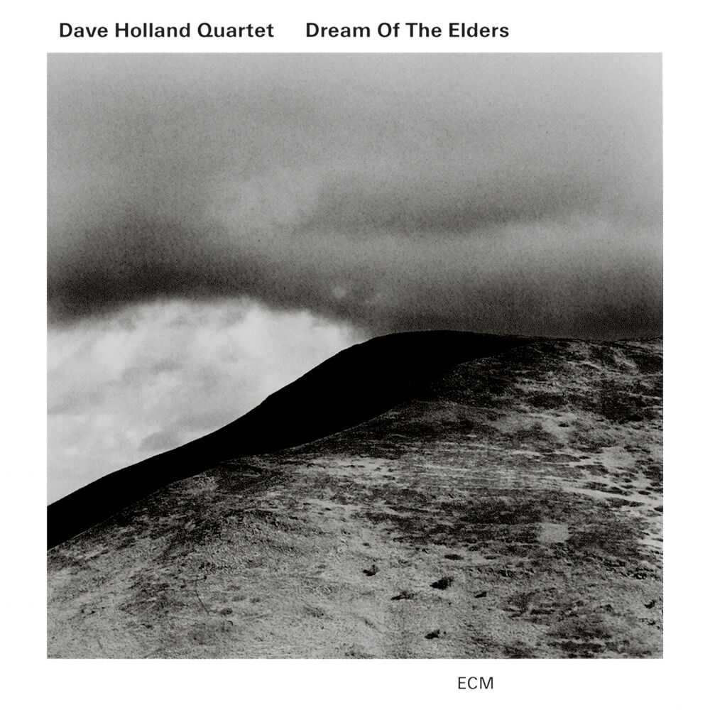Picture of Dream Of The Elders