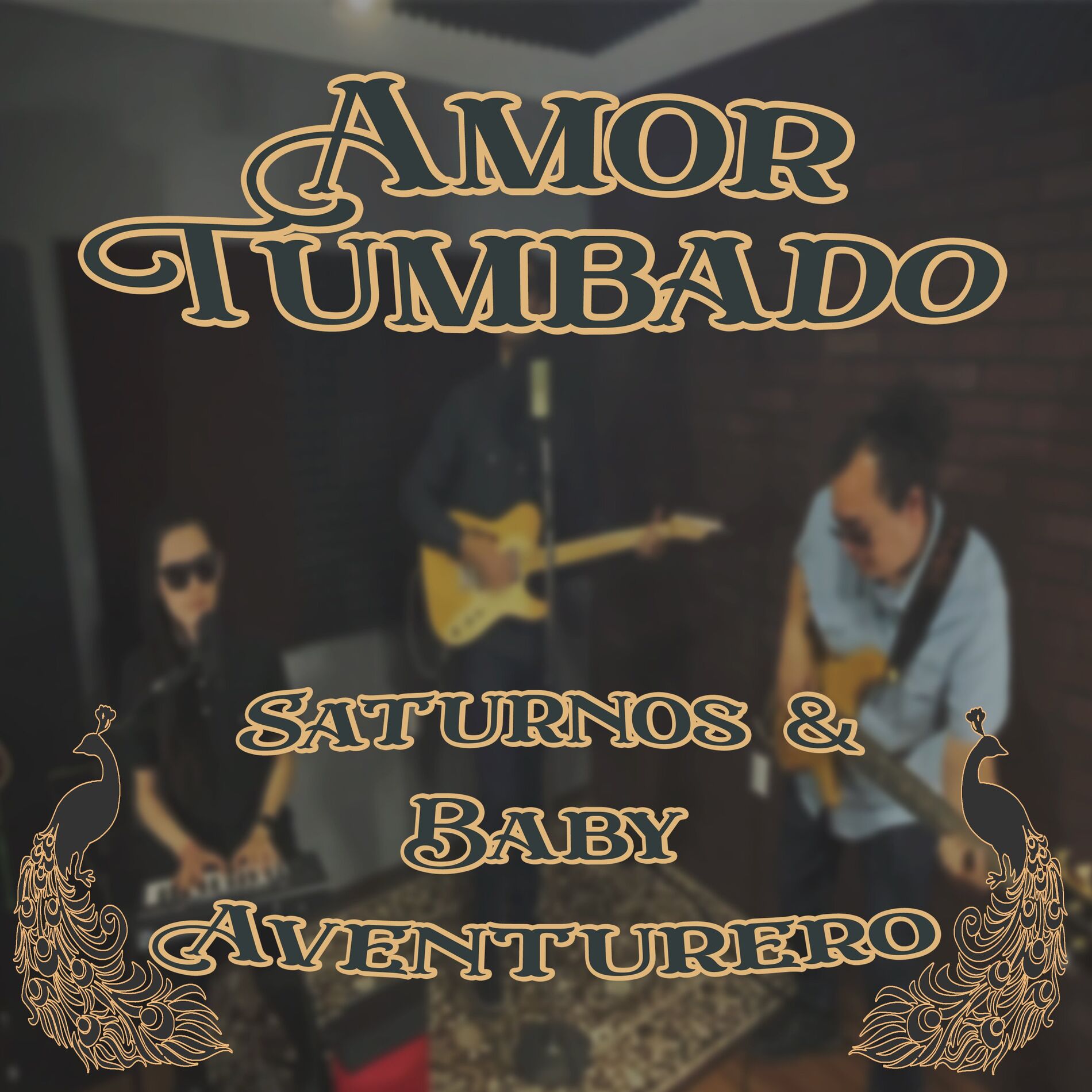 Album cover of Amor Tumbado