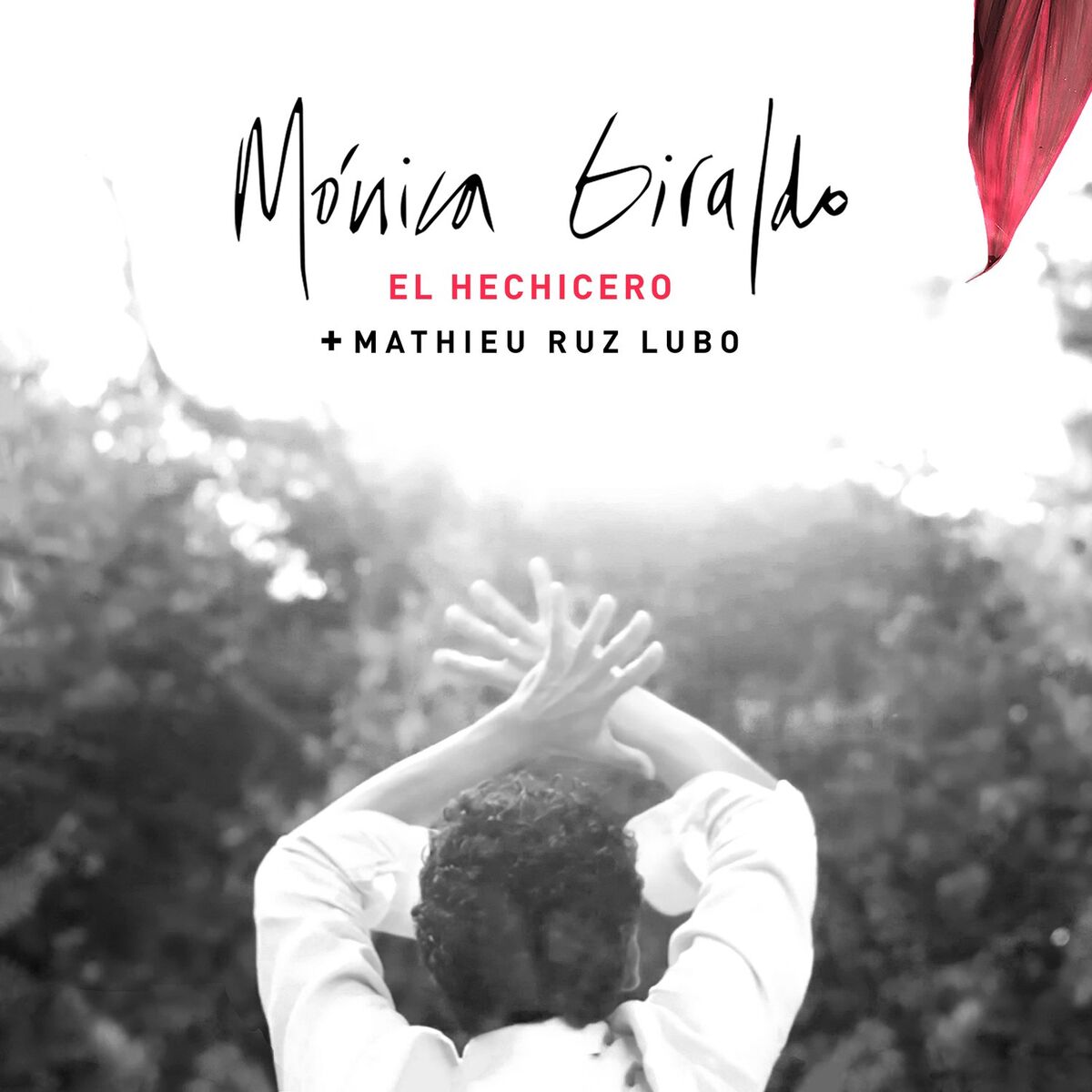 Album cover of El Hechicero