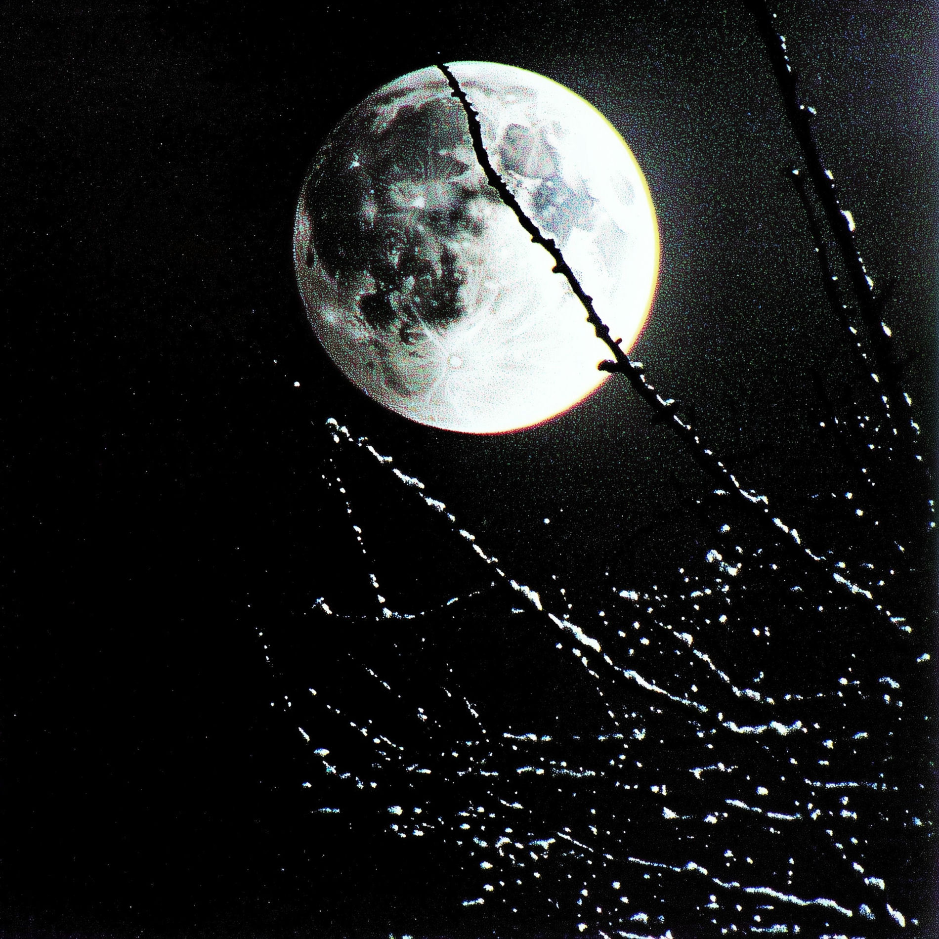 Album cover of night moon