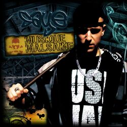 Cover of Musique malsaine