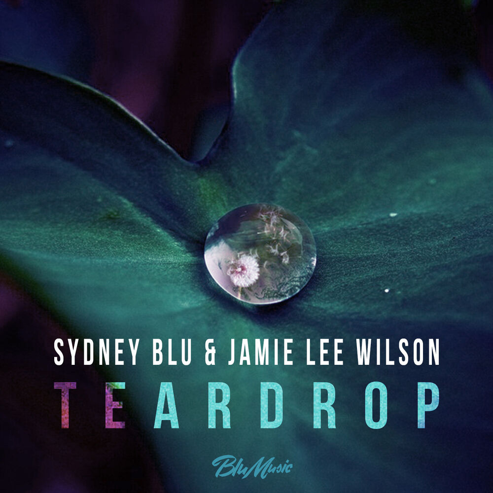 Picture of Teardrop