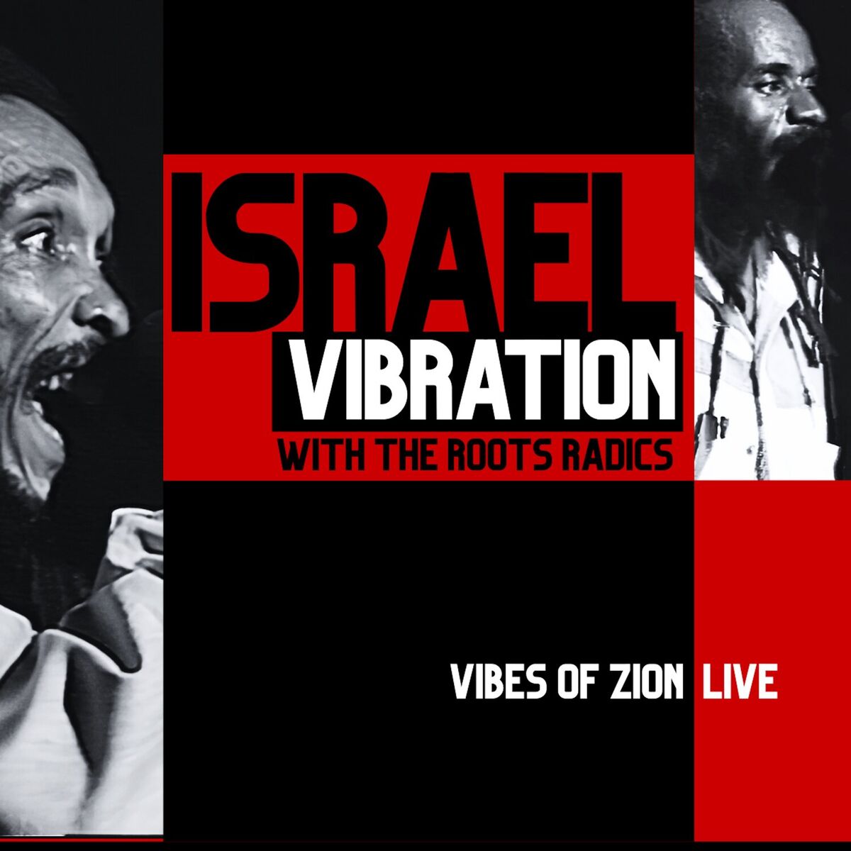 Album cover of Vibes of Zion (Live)
