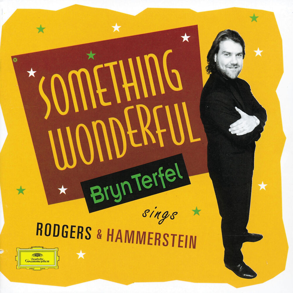 Picture of Bryn Terfel - Something Wonderful