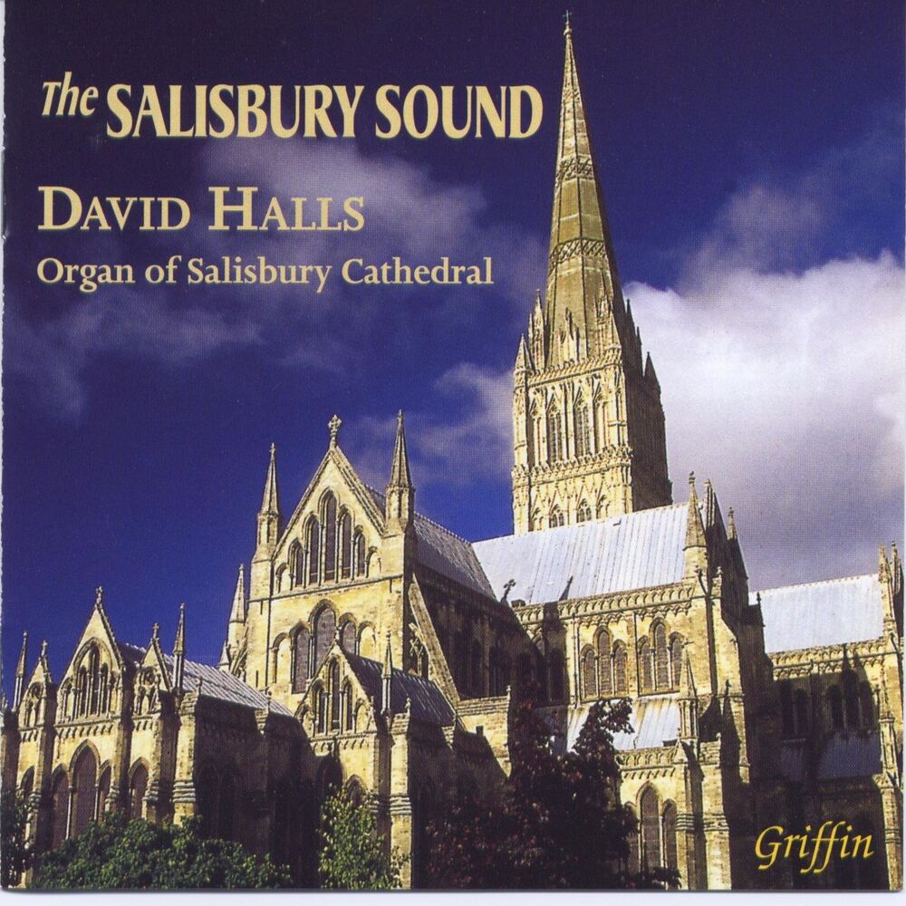 Picture of The Salisbury Sound