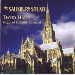 Cover of The Salisbury Sound