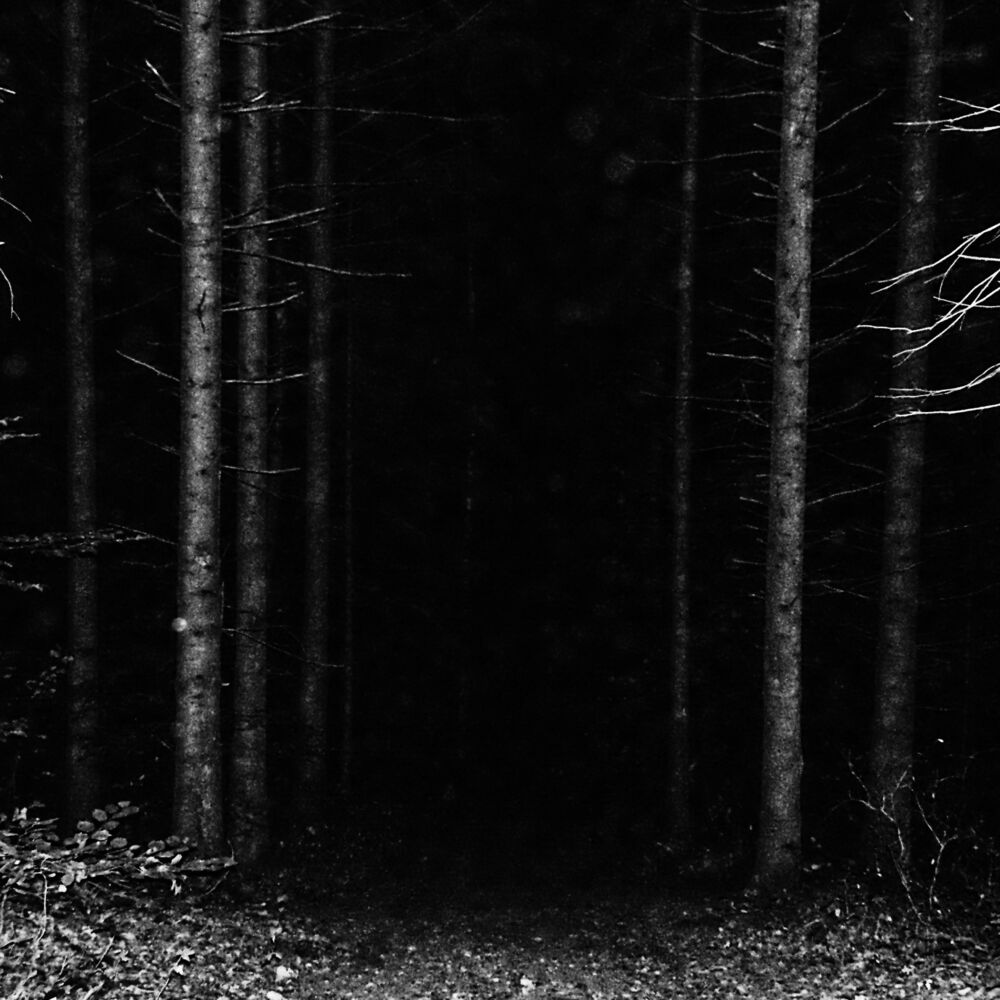 Picture of Path to Doom
