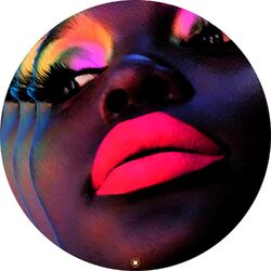 Cover of Trans Afro Express