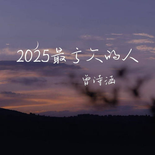 2025最亏欠的人 (Dj德朋版)