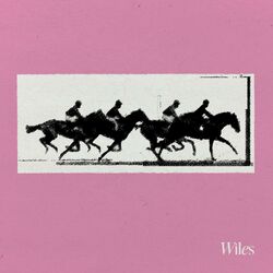 Cover of Variations on a Theme
