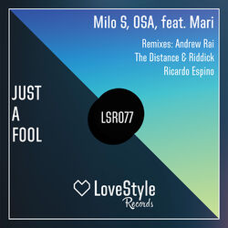 Cover of Just a Fool