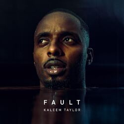 Cover of Fault