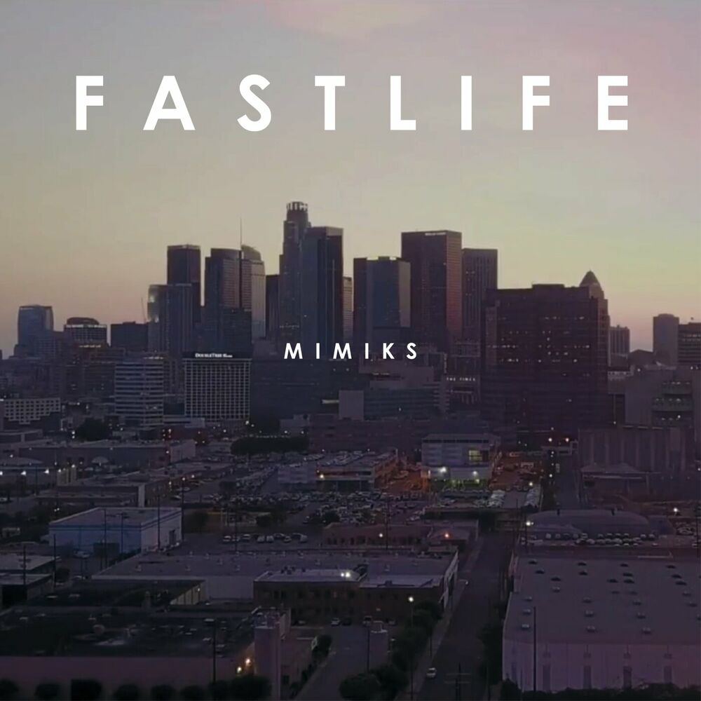 Picture of Fast Life