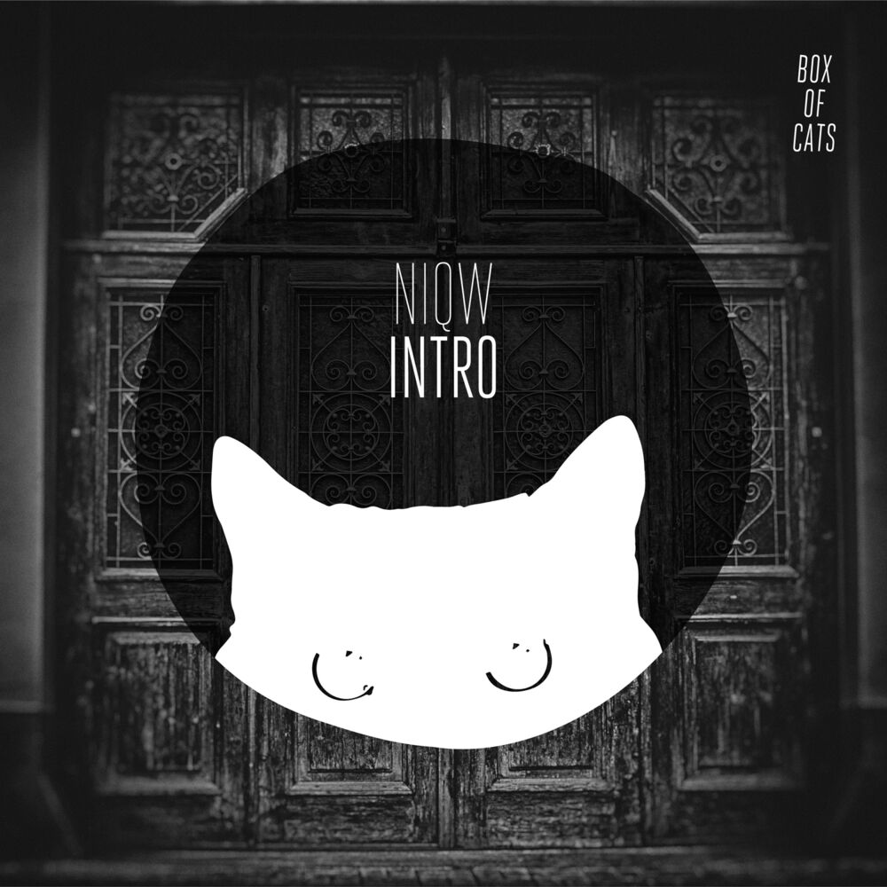 Picture of Intro