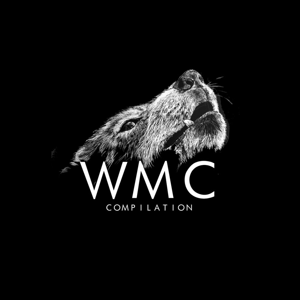 Picture of WORMS RECORDS WMC 2017