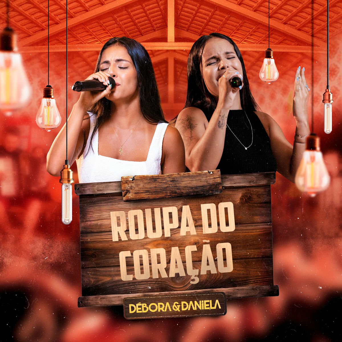 Album cover of Roupa do Coração (Ao Vivo)