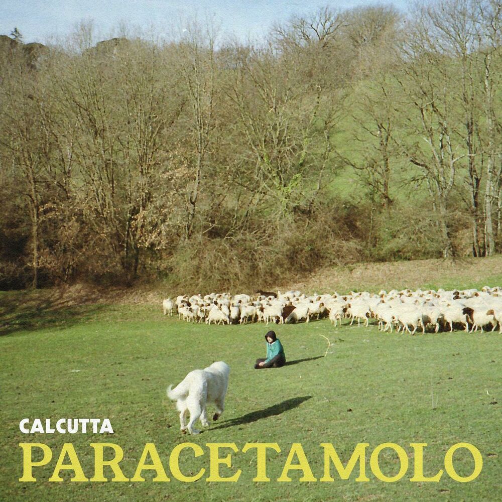 Picture of Paracetamolo